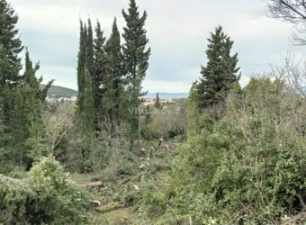 POLJANA- 450M OD MORA! 979 M2 POLJANA- 450M OD MORA! 979 M2