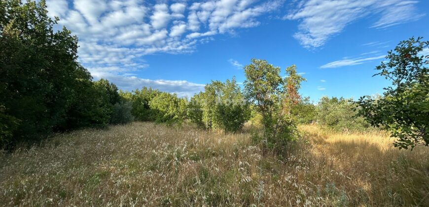 MASLENICA, GRAĐEVINSKO, 1186 m2, POGLED NA MORE