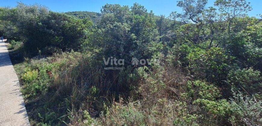 ŽDRELAC, ZEMLJIŠTE S IDEJNIM PROJEKTOM ZA KUĆU!