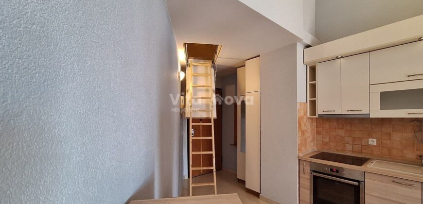 BLUE GARDEN, 2-SOBAN, POGLED NA MORE!