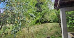 JEZERO, KUĆA S OKUĆNICOM