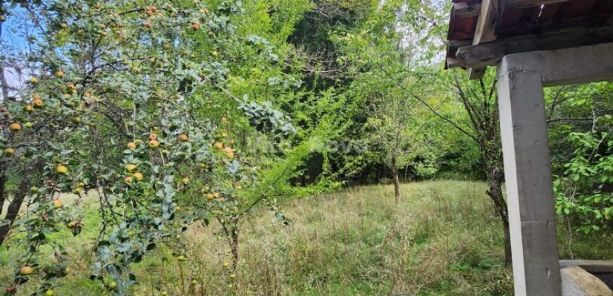 JEZERO, KUĆA S OKUĆNICOM