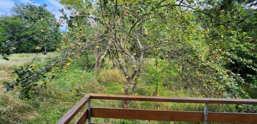 JEZERO, KUĆA S OKUĆNICOM